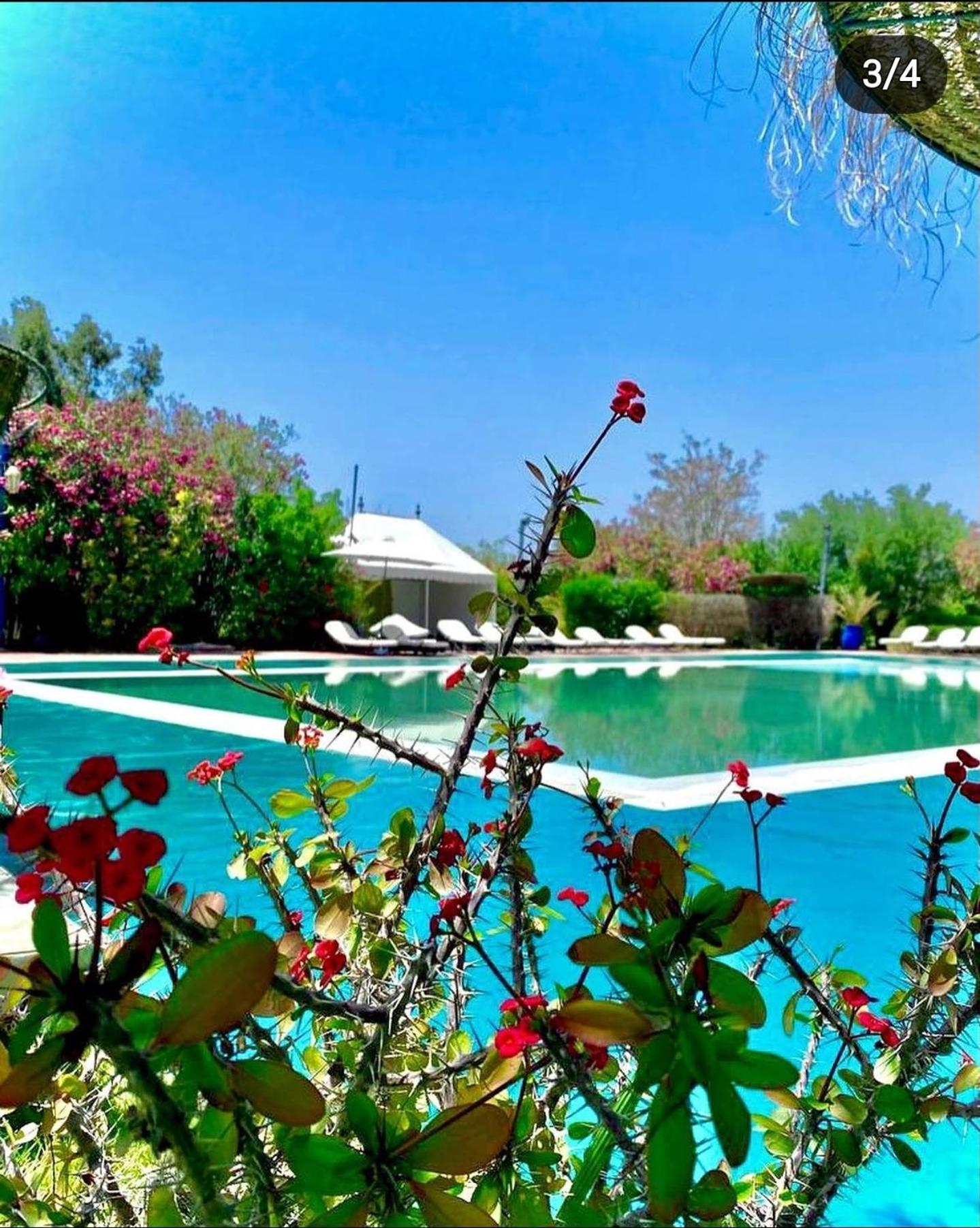 Готель Les Jardins D Isis Марракеш Екстер'єр фото